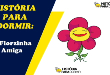 Ler Historia Para Dormir A Florzinha Amiga